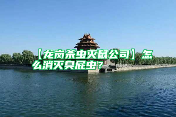 【龍崗殺蟲滅鼠公司】怎么消滅臭屁蟲？