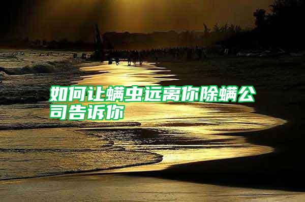 如何讓螨蟲遠離你除螨公司告訴你