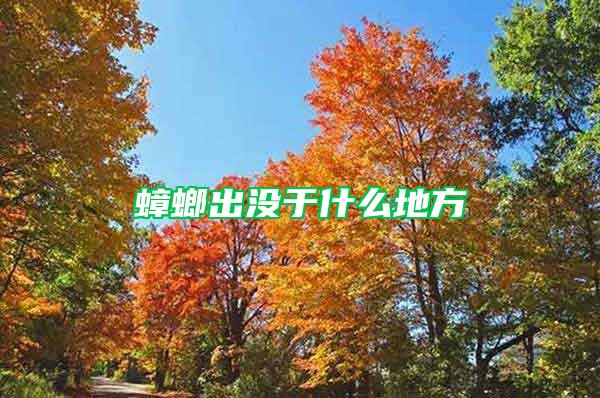 蟑螂出沒(méi)于什么地方