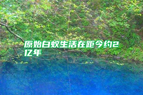 原始白蟻生活在距今約2億年