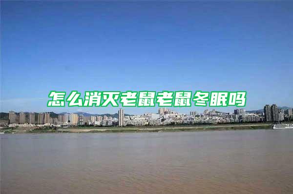 怎么消滅老鼠老鼠冬眠嗎
