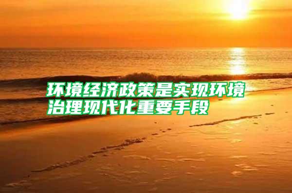 環(huán)境經(jīng)濟(jì)政策是實(shí)現(xiàn)環(huán)境治理現(xiàn)代化重要手段