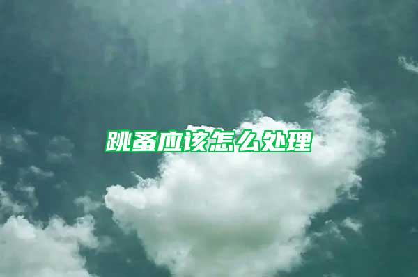 跳蚤應(yīng)該怎么處理