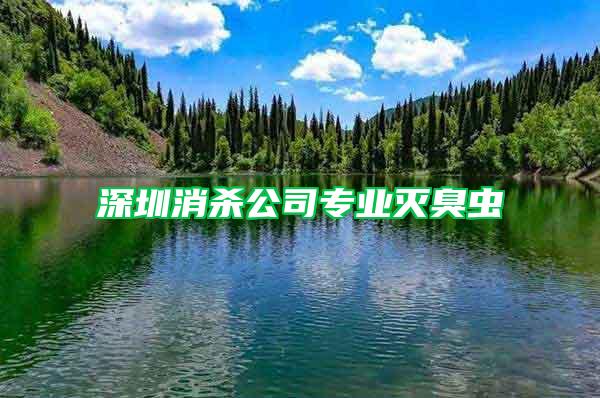 深圳消殺公司專業(yè)滅臭蟲