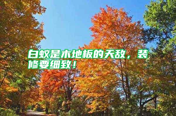白蟻是木地板的天敵，裝修要細(xì)致！
