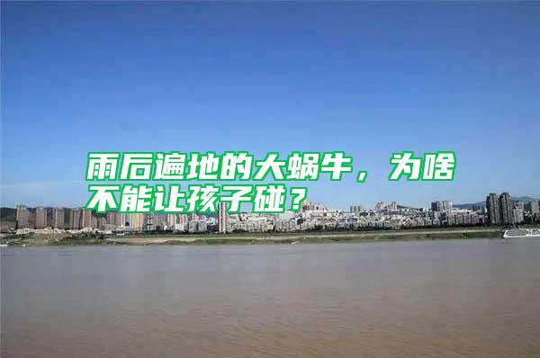 雨后遍地的大蝸牛，為啥不能讓孩子碰？