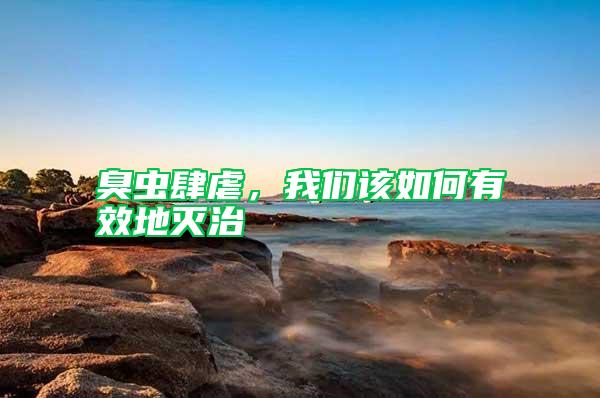 臭蟲肆虐，我們該如何有效地滅治