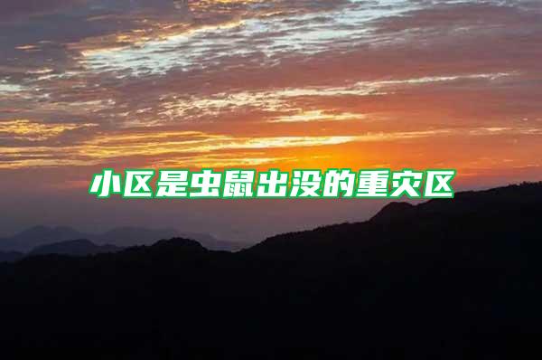 小區(qū)是蟲鼠出沒的重災(zāi)區(qū)