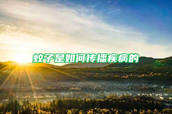 蚊子是如何傳播疾病的