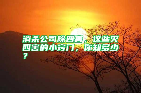 消殺公司除四害，這些滅四害的小竅門，你知多少？