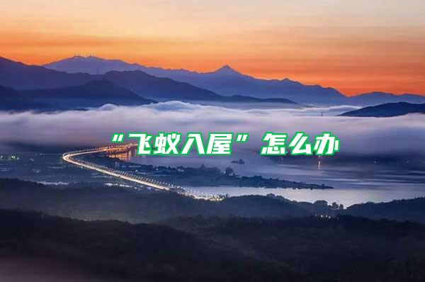 “飛蟻入屋”怎么辦