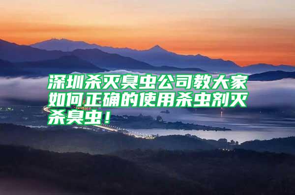 深圳殺滅臭蟲公司教大家如何正確的使用殺蟲劑滅殺臭蟲！