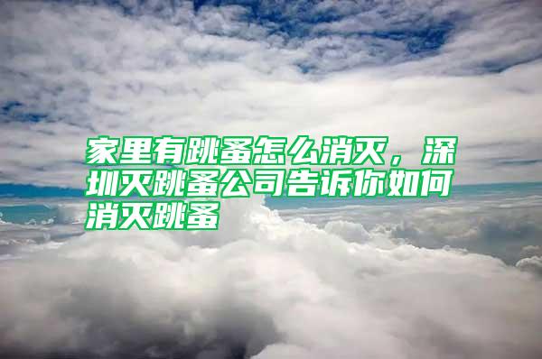家里有跳蚤怎么消滅，深圳滅跳蚤公司告訴你如何消滅跳蚤