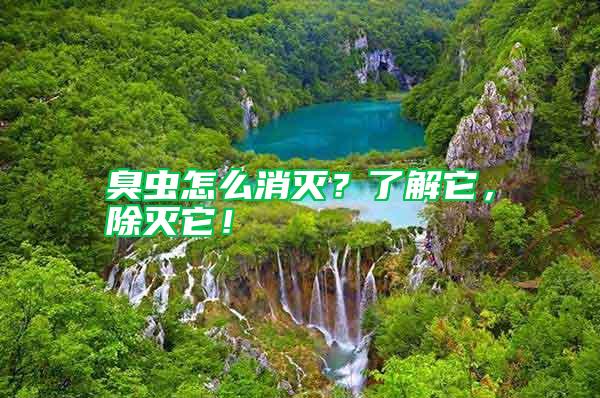 臭蟲怎么消滅？了解它，除滅它！