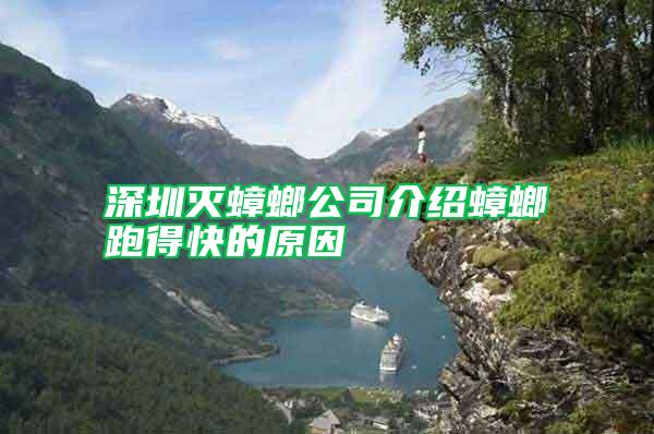 深圳滅蟑螂公司介紹蟑螂跑得快的原因