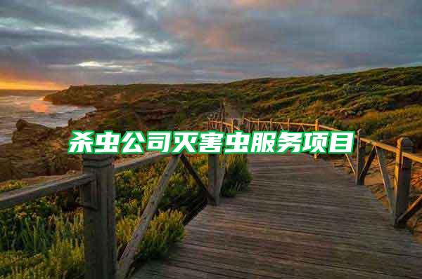 殺蟲(chóng)公司滅害蟲(chóng)服務(wù)項(xiàng)目