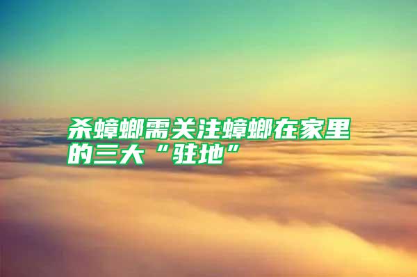 殺蟑螂需關(guān)注蟑螂在家里的三大“駐地”