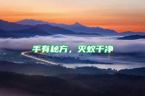 手有秘方，滅蟻干凈