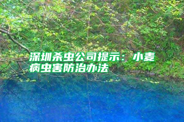 深圳殺蟲(chóng)公司提示：小麥病蟲(chóng)害防治辦法