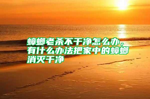 蟑螂老殺不干凈怎么辦，有什么辦法把家中的蟑螂消滅干凈
