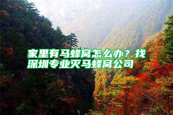 家里有馬蜂窩怎么辦？找深圳專業(yè)滅馬蜂窩公司
