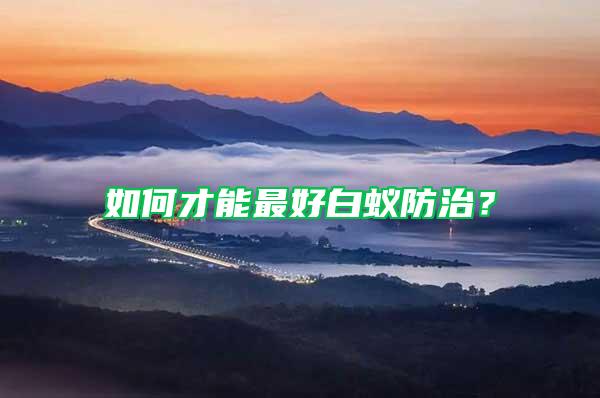 如何才能最好白蟻防治？