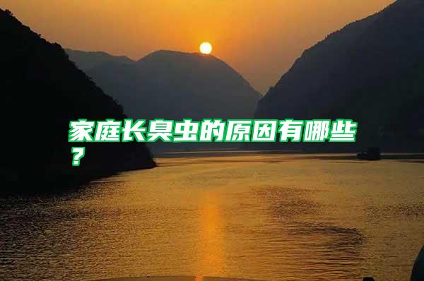家庭長(zhǎng)臭蟲的原因有哪些？