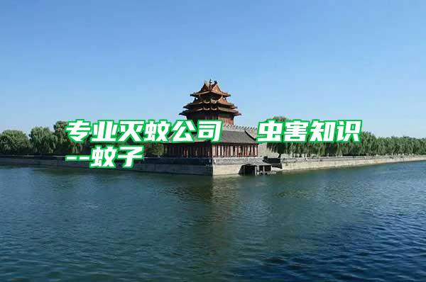 專業(yè)滅蚊公司  蟲害知識--蚊子