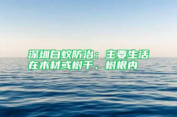 深圳白蟻防治：主要生活在木材或樹干、樹根內