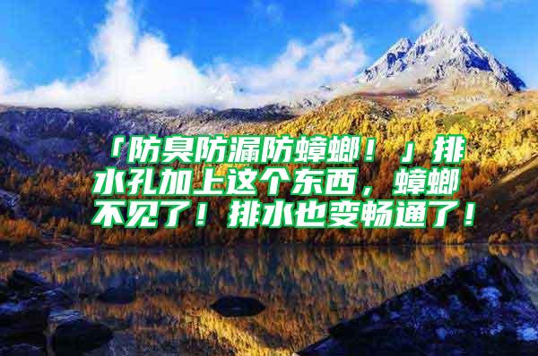 「防臭防漏防蟑螂！」排水孔加上這個(gè)東西，蟑螂不見(jiàn)了！排水也變暢通了！