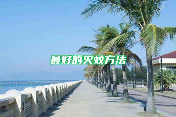 最好的滅蚊方法