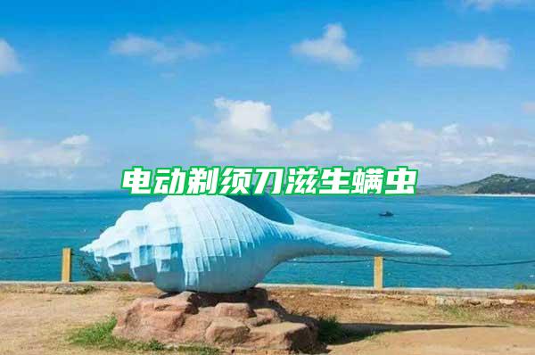 電動剃須刀滋生螨蟲
