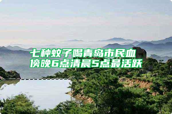 七種蚊子喝青島市民血 傍晚6點(diǎn)清晨5點(diǎn)最活躍