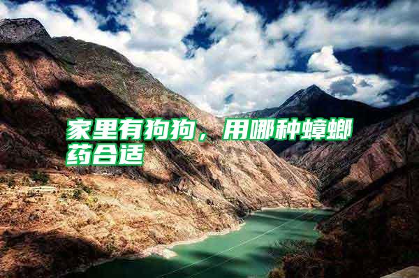 家里有狗狗，用哪種蟑螂藥合適