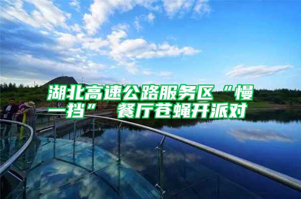 湖北高速公路服務區(qū)“慢一擋” 餐廳蒼蠅開派對