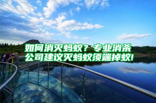 如何消滅螞蟻？專業(yè)消殺公司建議滅螞蟻須端掉蟻!