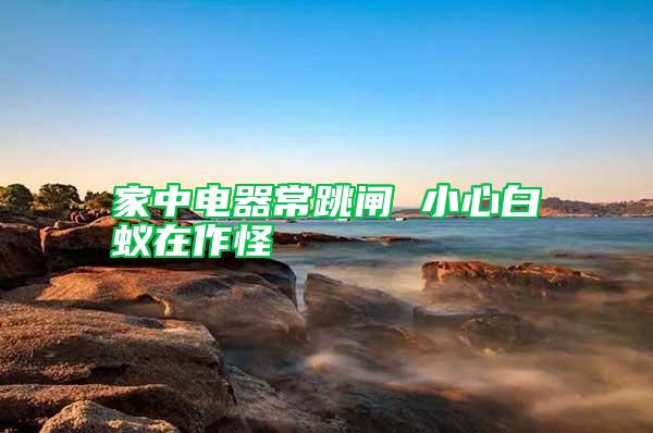 家中電器常跳閘 小心白蟻在作怪