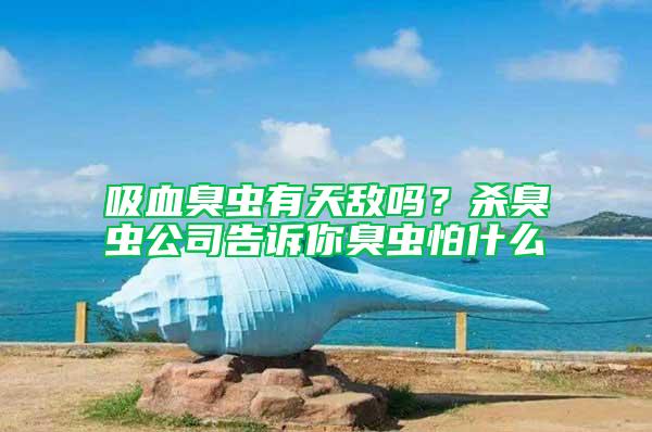 吸血臭蟲(chóng)有天敵嗎？殺臭蟲(chóng)公司告訴你臭蟲(chóng)怕什么