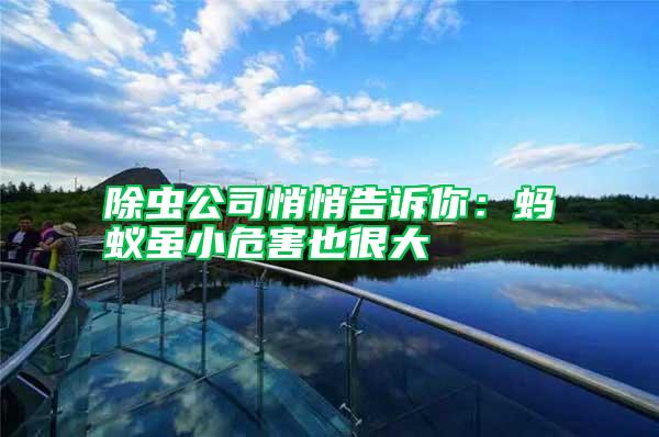 除蟲公司悄悄告訴你：螞蟻雖小危害也很大