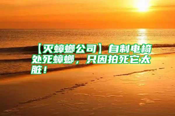 【滅蟑螂公司】自制電椅處死蟑螂，只因拍死它太臟！