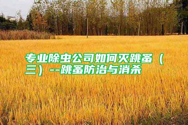 專業(yè)除蟲公司如何滅跳蚤（三）--跳蚤防治與消殺