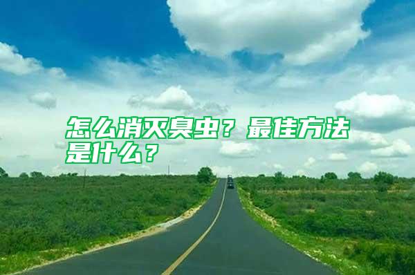 怎么消滅臭蟲？最佳方法是什么？
