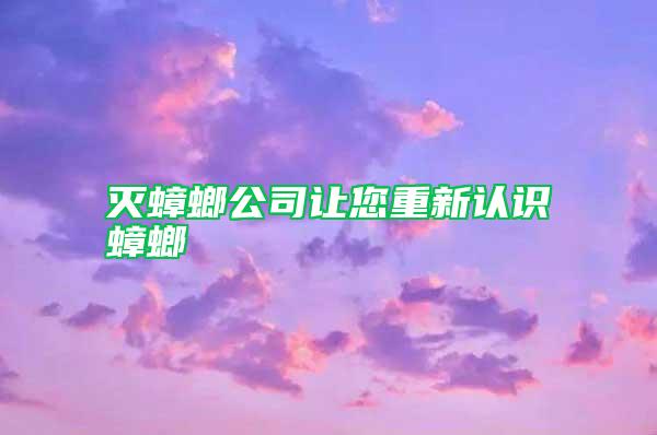 滅蟑螂公司讓您重新認(rèn)識(shí)蟑螂