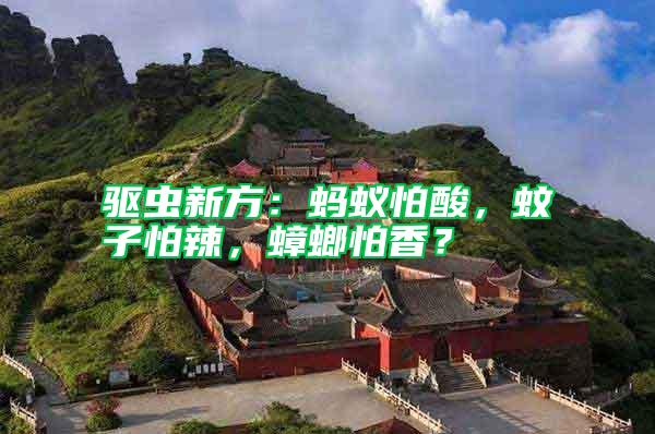 驅(qū)蟲新方：螞蟻怕酸，蚊子怕辣，蟑螂怕香？