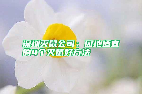 深圳滅鼠公司：因地適宜的4個滅鼠好方法