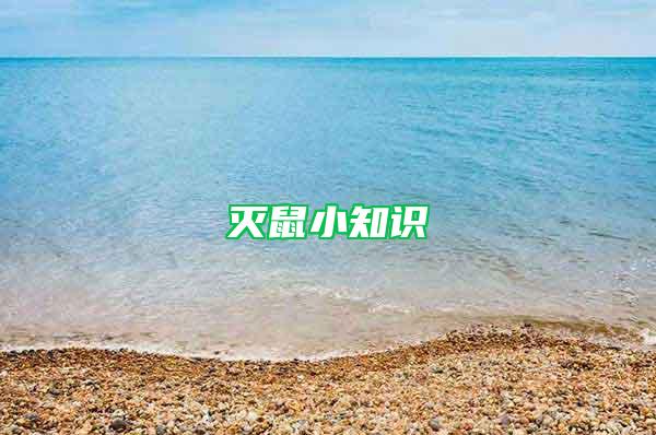 滅鼠小知識(shí)
