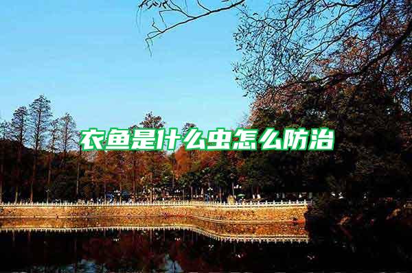 衣魚(yú)是什么蟲(chóng)怎么防治