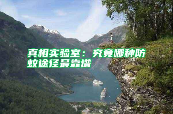 真相實驗室：究竟哪種防蚊途徑最靠譜