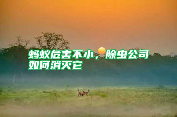 螞蟻危害不小，除蟲公司如何消滅它