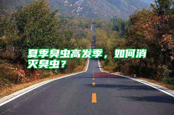 夏季臭蟲高發(fā)季，如何消滅臭蟲？